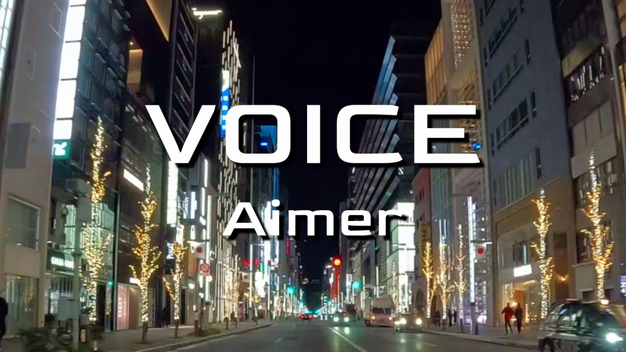 【Aimer】2025年大晦日夜10時半の中央通り 日本橋‐銀座8 Last Day of 2025【VOICE】