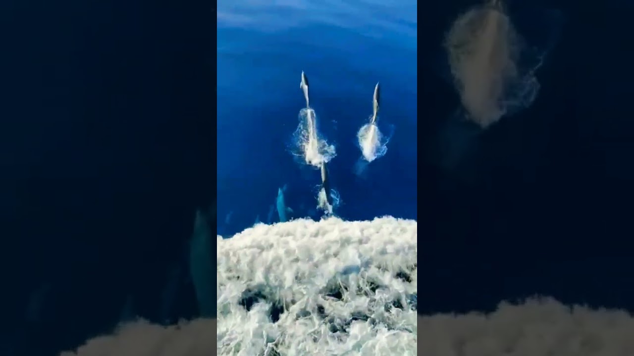 #sea