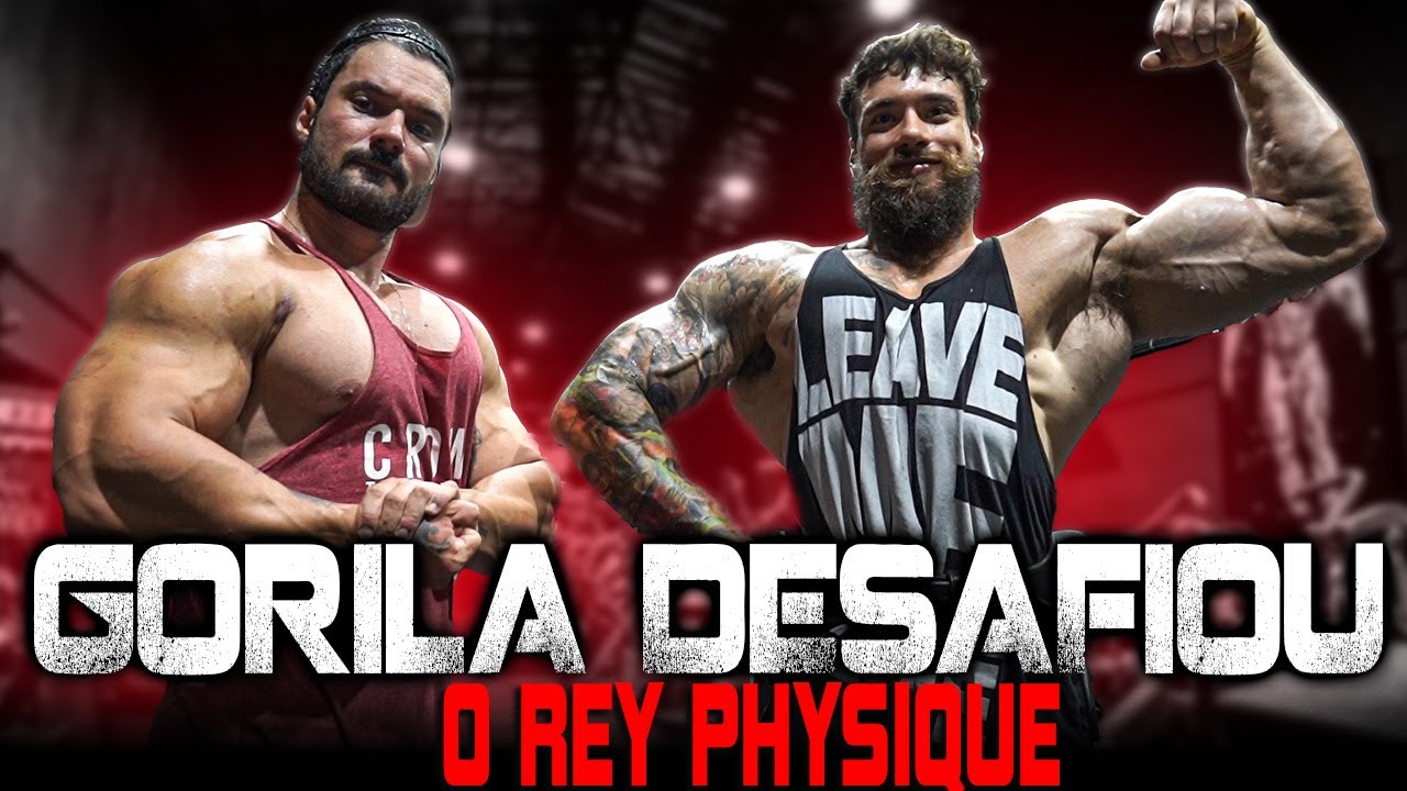 GORILA DESAFIOU O REY PHYSIQUE