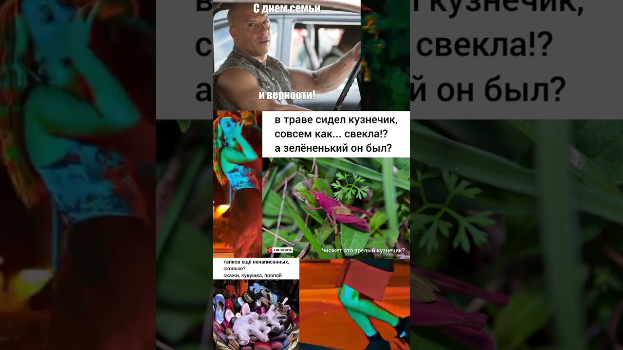 memes:91 