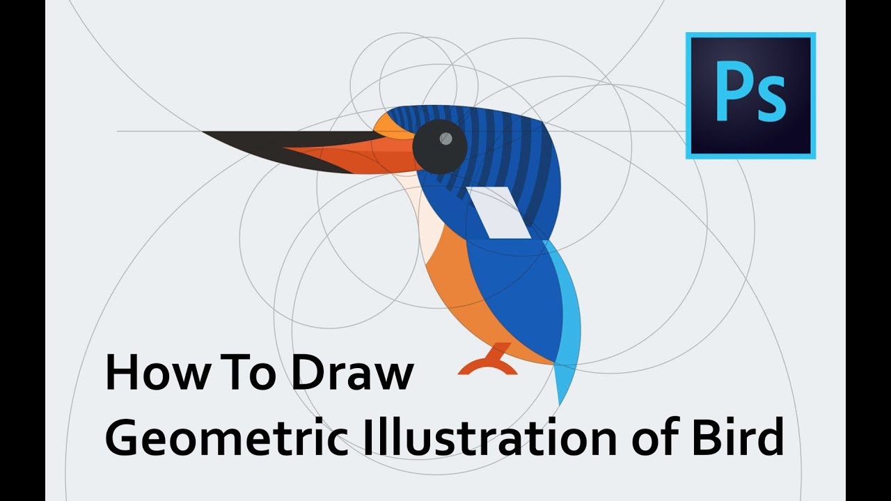 How To Draw Geometric Bird Illustration in Adobe  Photoshop