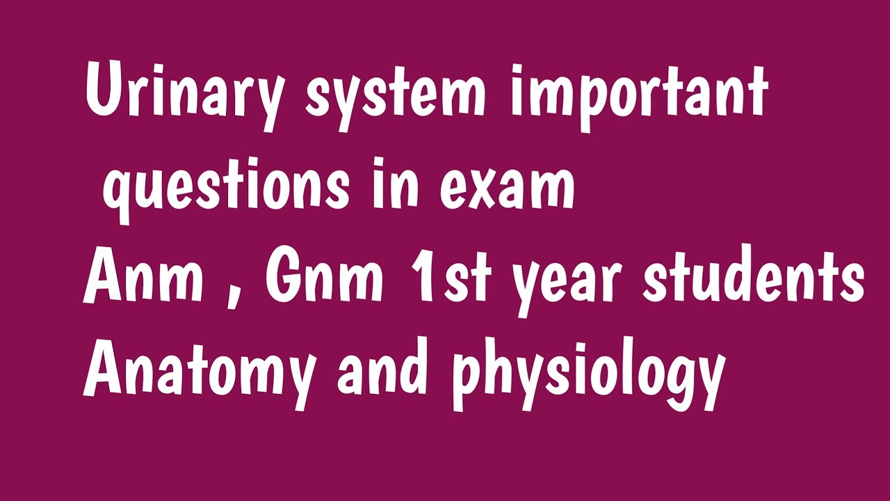Explain urinary system organs |Anatomy and physiology @नर्सिग एक ईश्वर सेवा मी आरोग्यदूत