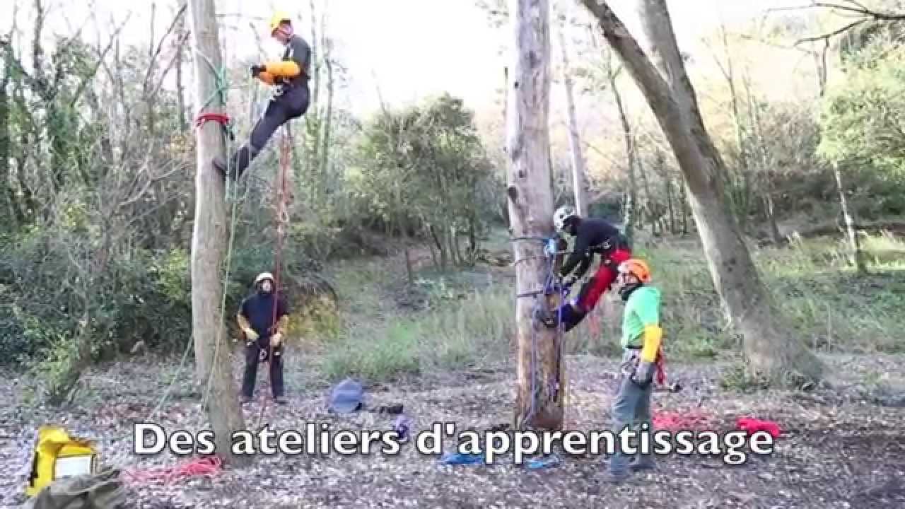 Formations aux techniques de démontage en élagage