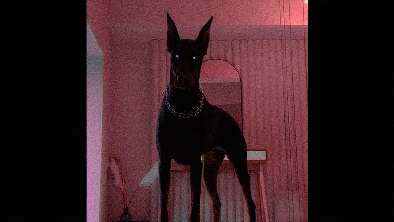 [FREE] TRAVIS SCOTT X DRAKE TYPE BEAT 2024 - DARK SKIES