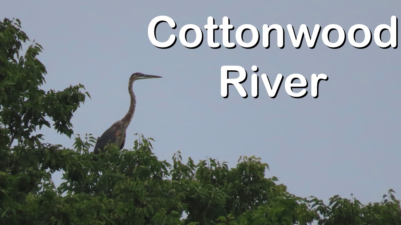 Adventure on the Cottonwood