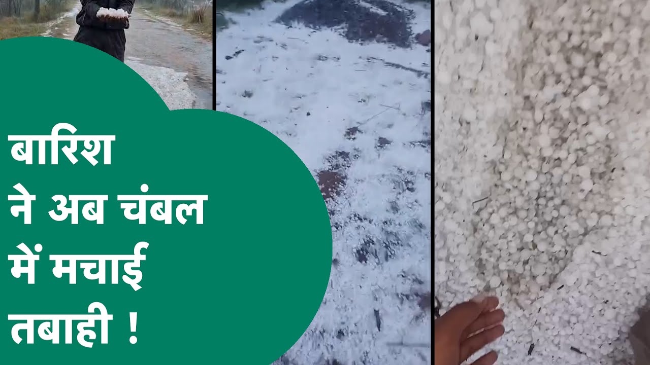 MP Weather Update: कुछ मिनटों की बारिश ने चंबल में मचाई तबाही, कई गांव सफेद चादर से लिपटा नजर आया !