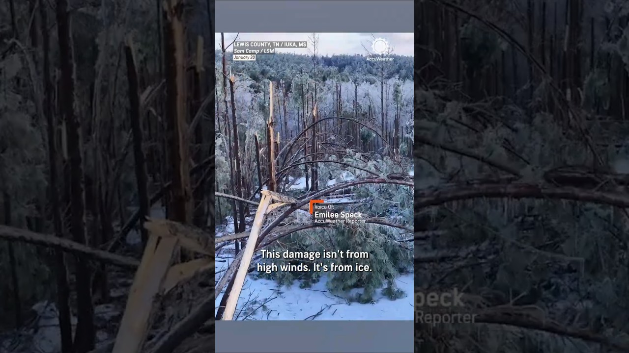 Ice Storm Flattens Thousands of Trees!