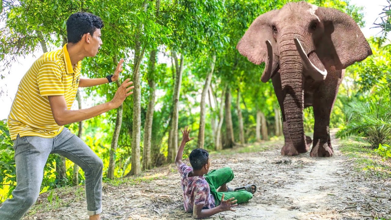 Elephant Attack On Cycling Boy In Forest Road | Elephant Attack On Village Two Boy | Part 45