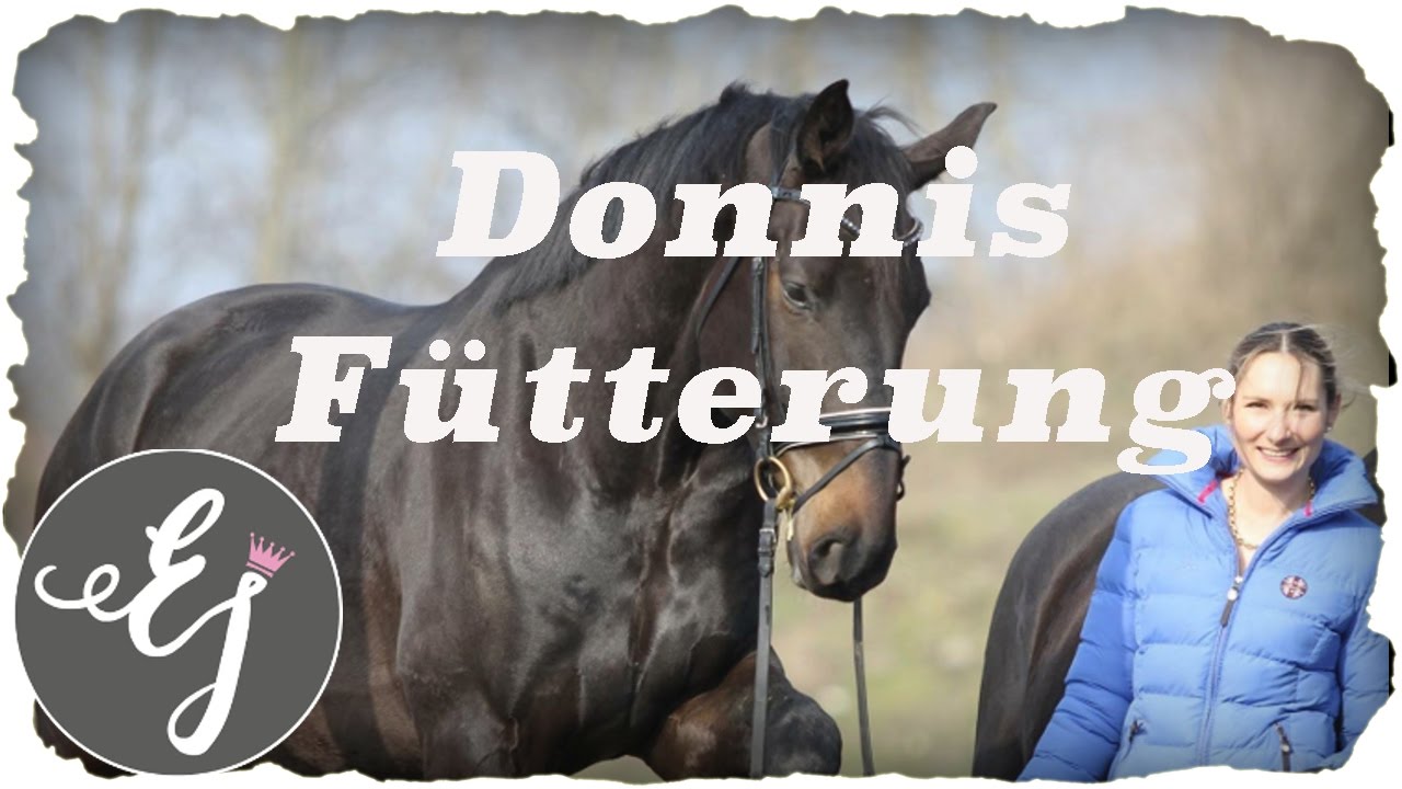 Die Fütterung meines Pferdes Donni