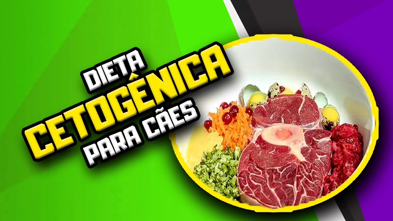 Dieta Cetogênica para Cães | Dr. Edgard Gomes | Alimentação natural para Cães