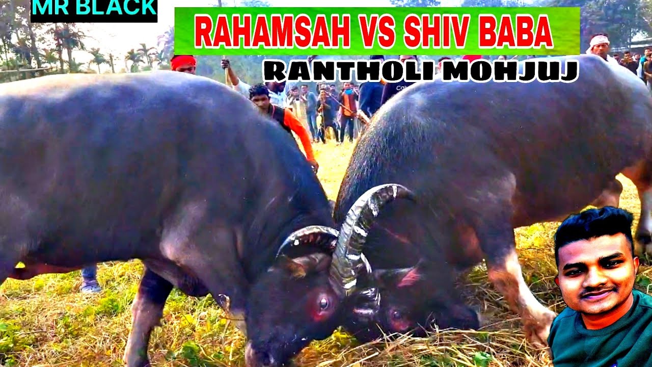 RAHAM SAH ALI VS SHIV BABA || Mohjuj || RONTHLI MOHJUJ2024 #mohjuj