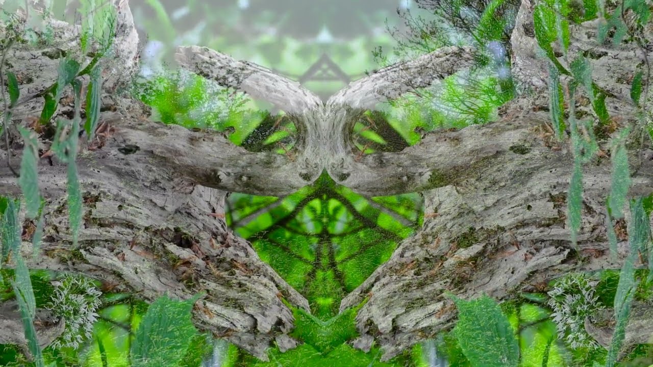 5.  Bird Spirit Land - Weaselkin