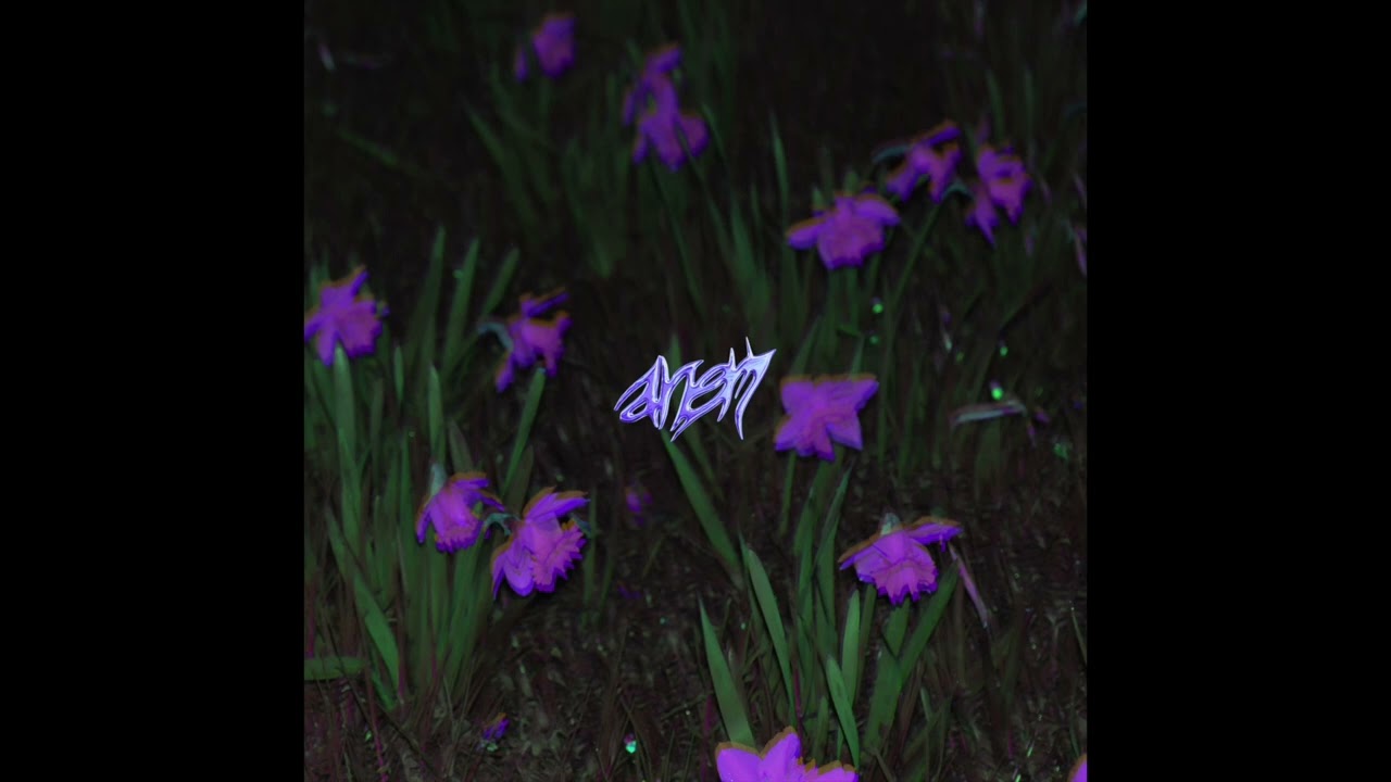 Anem - Cali