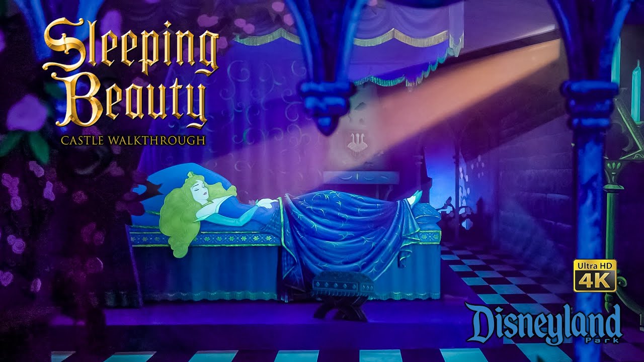 Disneyland Sleeping Beauty Castle Walkthrough Complete Low Light 4K POV 2022 03 16