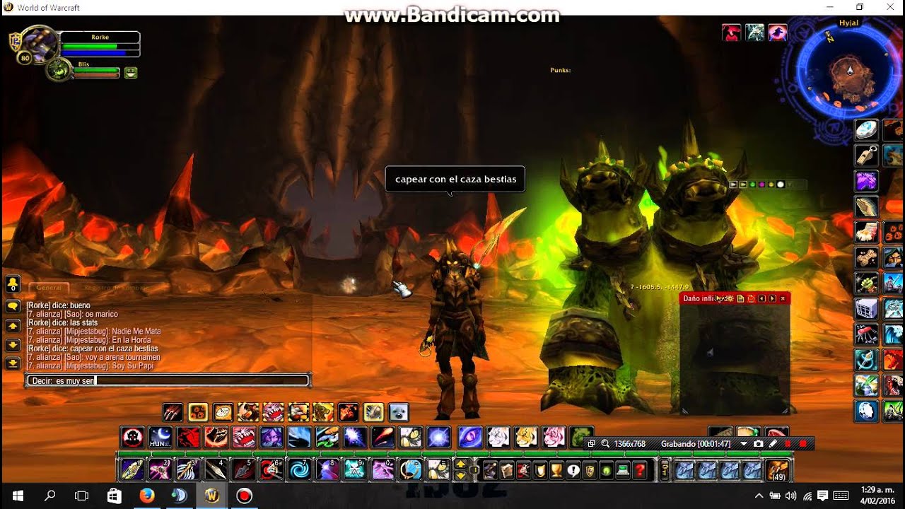 Guia Cazador Bestias pve 3.3.5a