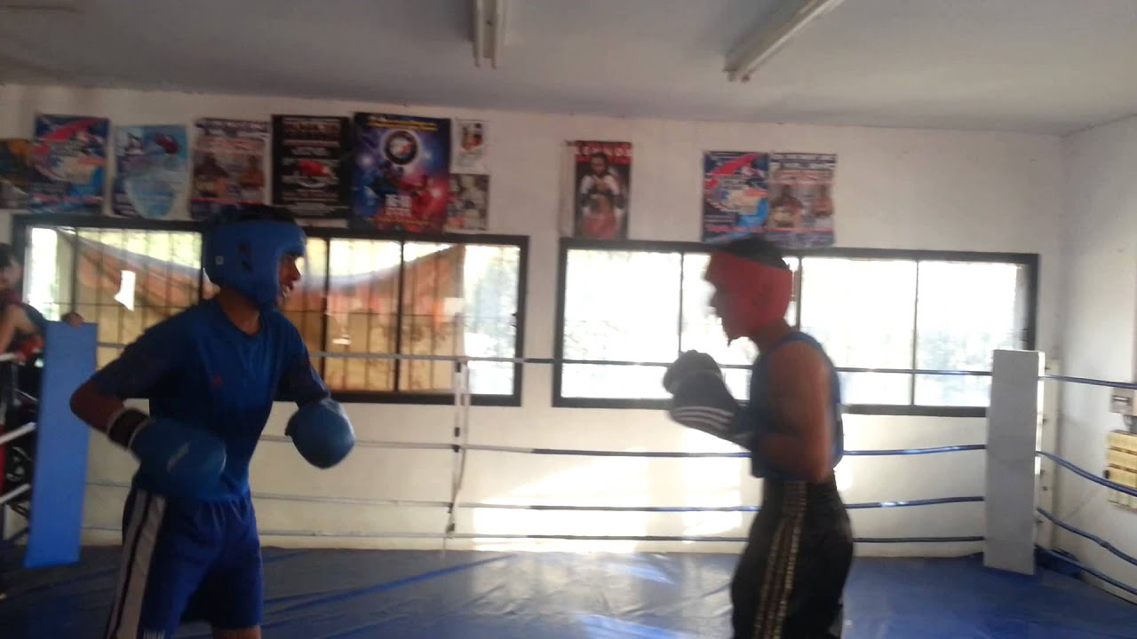 الملاكمة البطل احمد اشتيوي