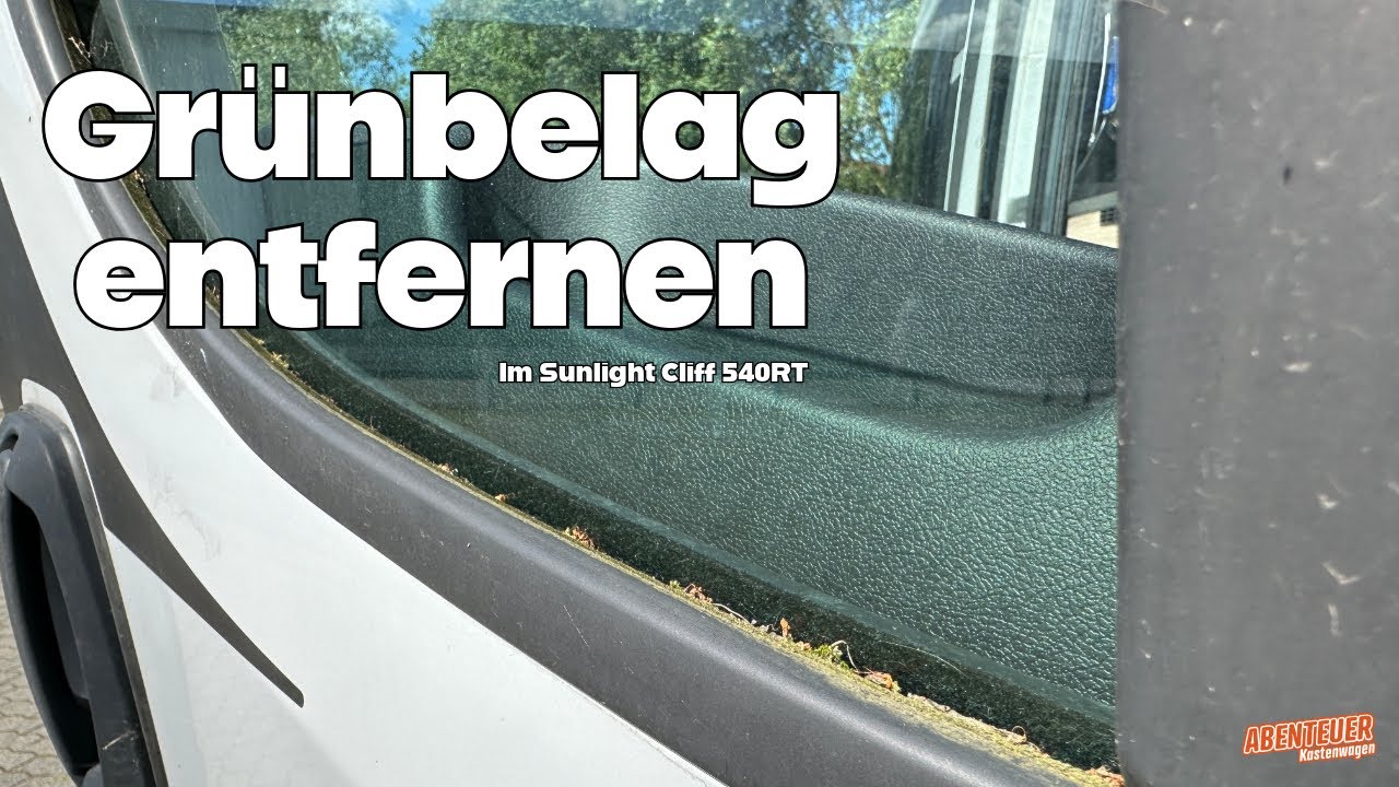 Grünbelag/Moos am Kastenwagen schonend entfernen