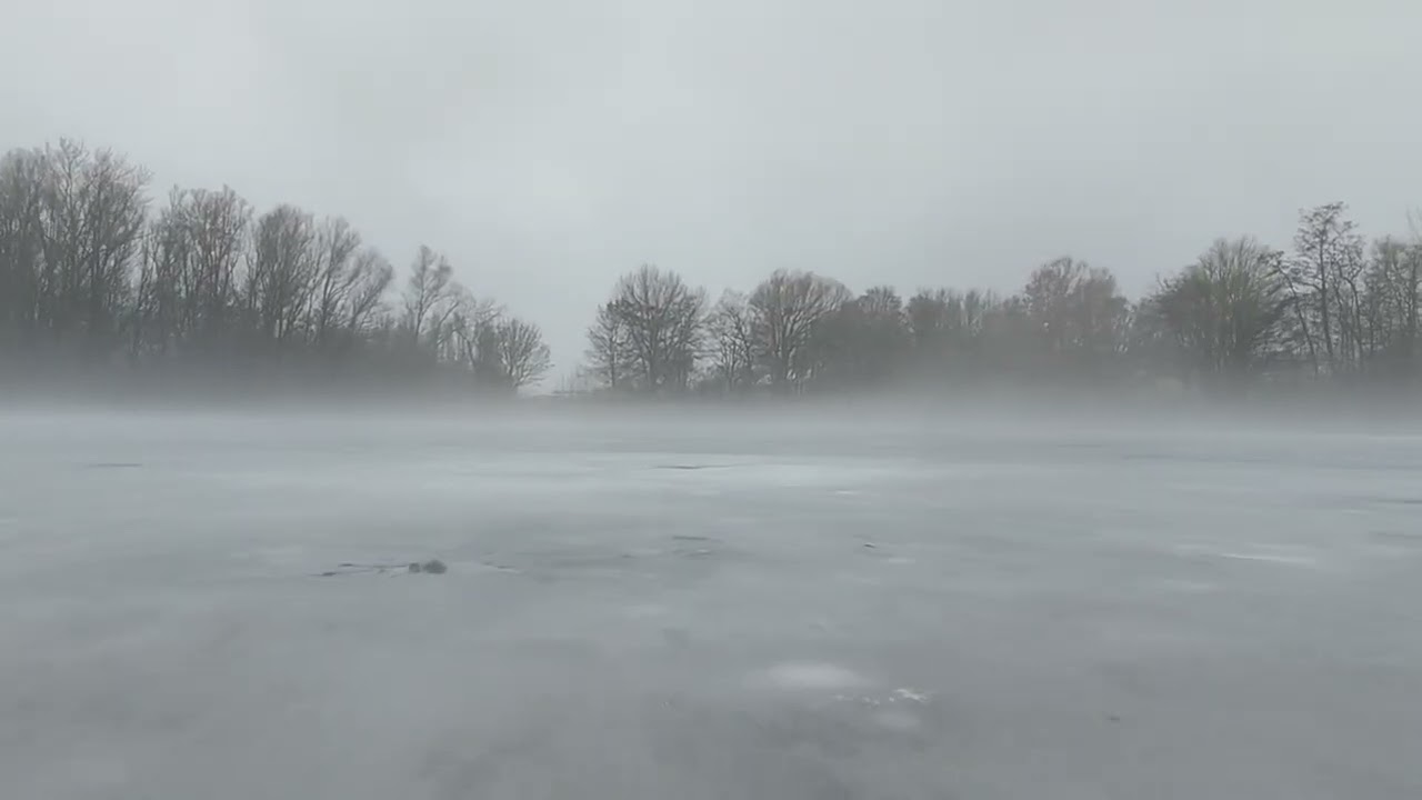 winter review