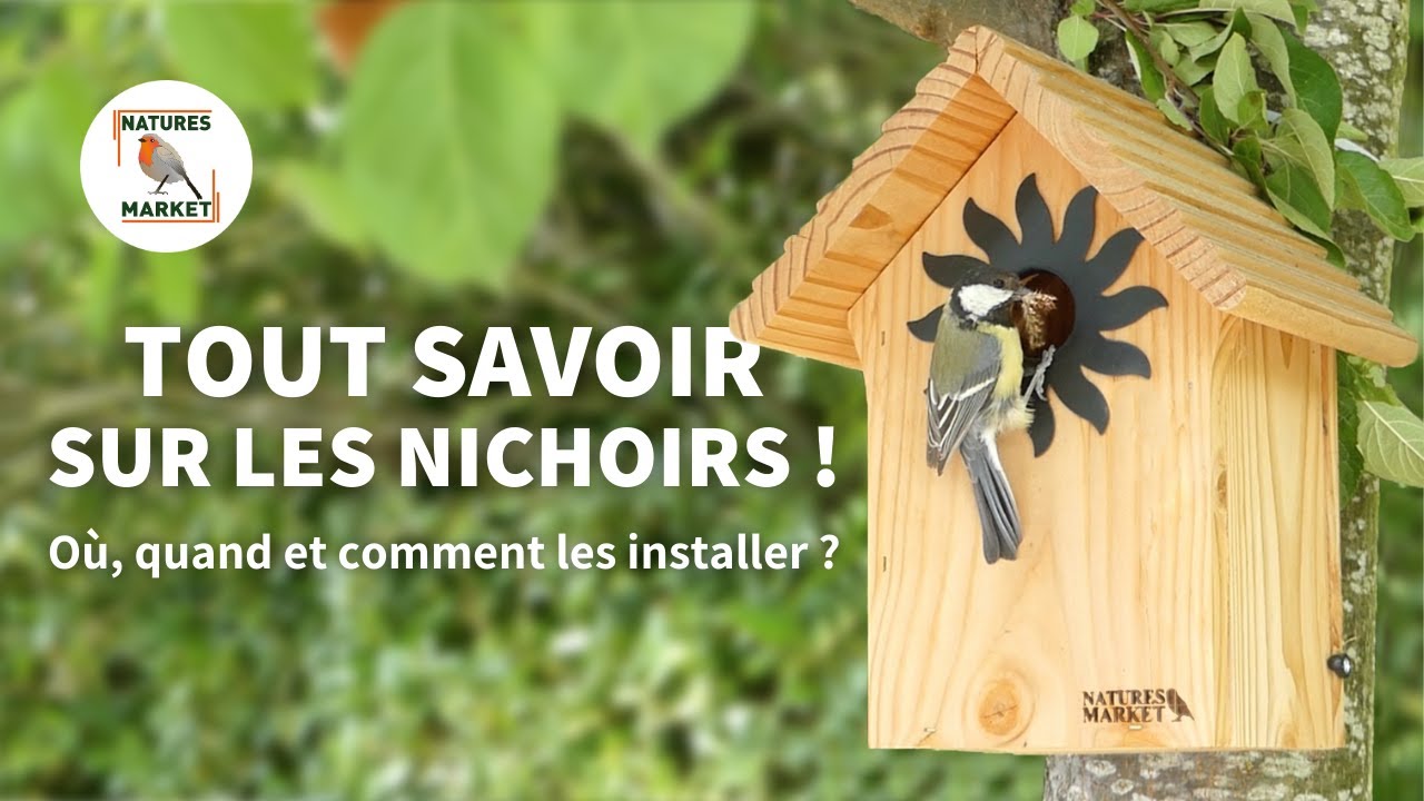 TOUT savoir sur les nichoirs &agrave; oiseaux &ndash; Installation compl&egrave;te !