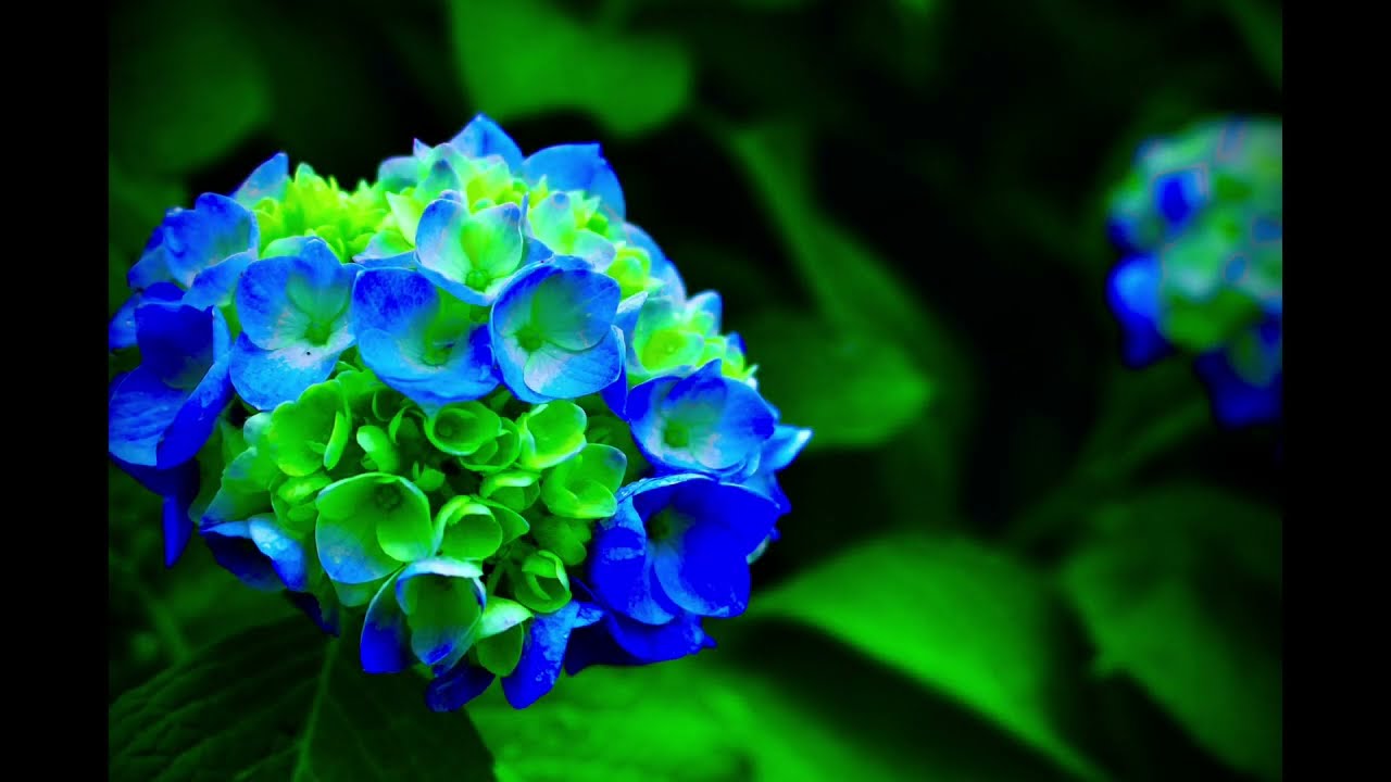 雨 #relaxingmusic  #meditationmusic  #bgmforsleep  #piano
