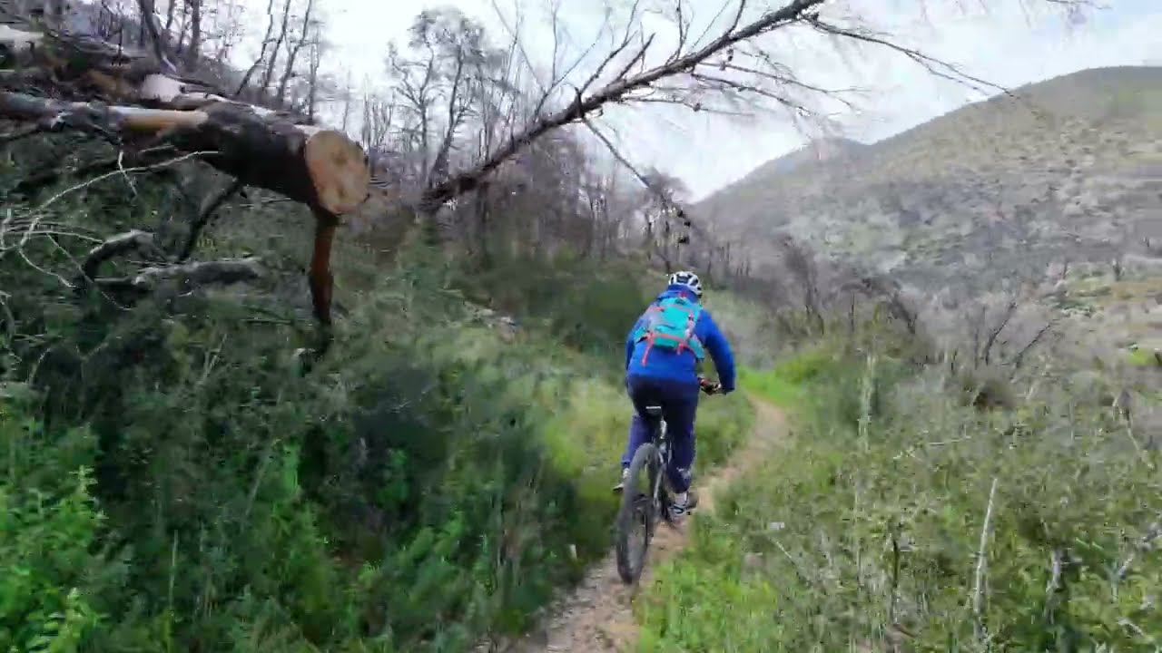DJI Neo 2 - Mountain biking στη δυτική Πάρνηθα - Ρέμα Γιαννούλας