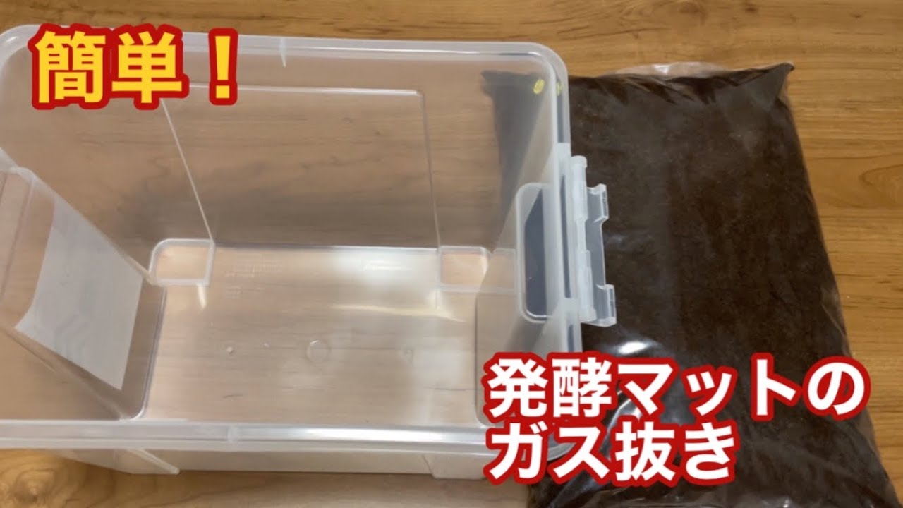 簡単！　発酵マットのガス抜き　　#クワカブ