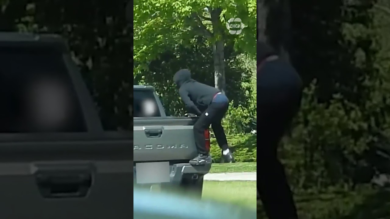 Halton police arrest four people in two GTHA auto theft investigations