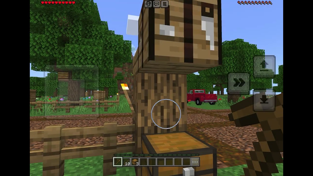 Farm  in Minecraft  1 ?