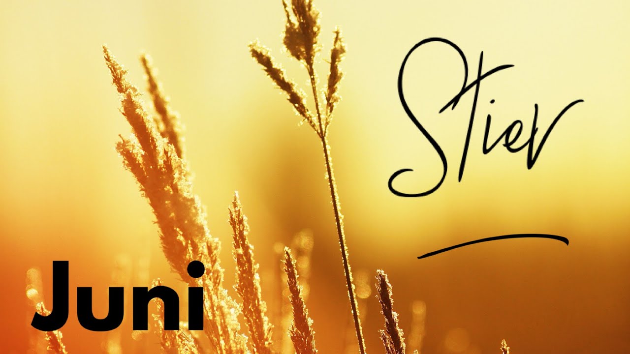 Stier ♉️ Mach weiter und fang neu an! Auch wenn es anstrengend ist. Erleichterung kommt schon bald!