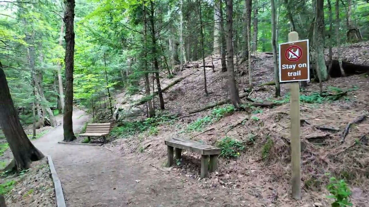 Wagner Falls - Upper Michigan