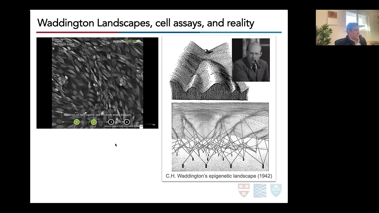 Introduction to modelling single-cell dynamics