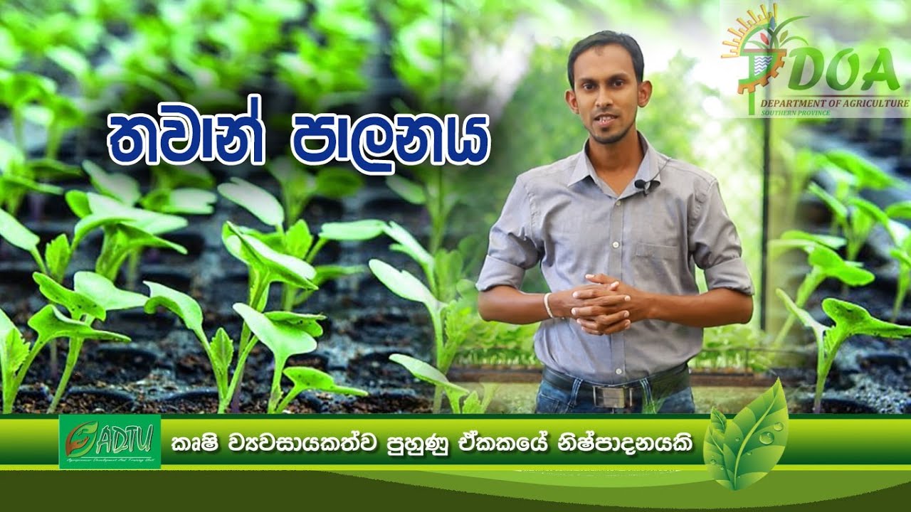 තවාන් පාලනය