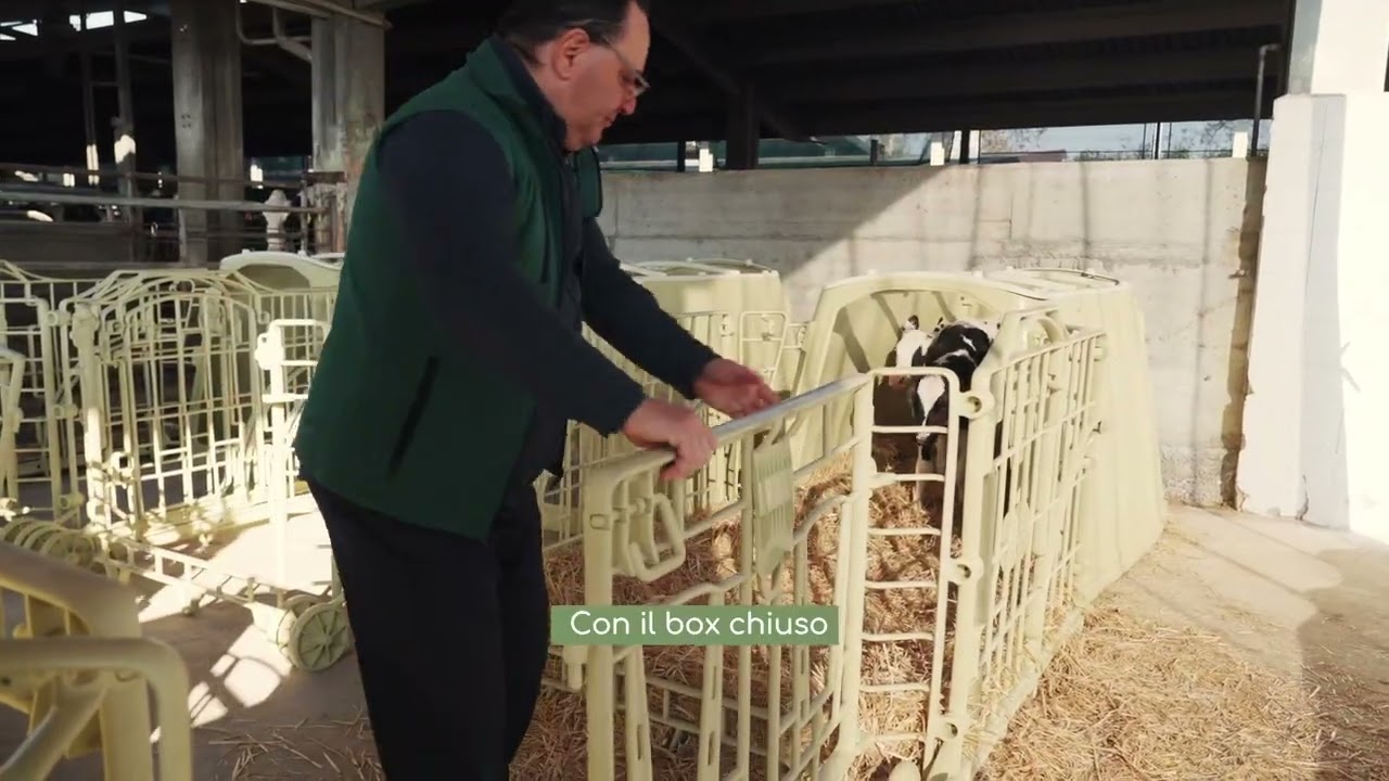 La stabulazione da interni con la nostra CALFELLA!