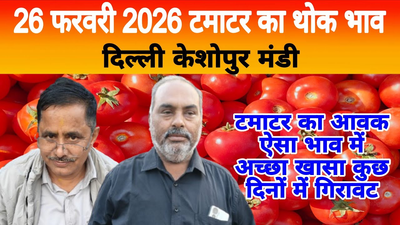 26 Feb 2026 Delhi 🍅 टमाटर होलसेल भाव | Keshopur Mandi | Today Tomato Rate #tamatar #tamatarmandi