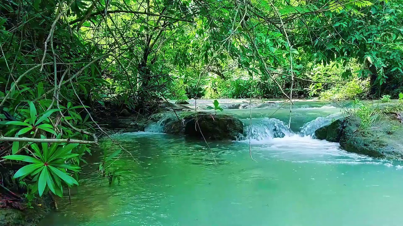 Waterfall Sounds for Relaxing – Mental Detox with Soothing Water