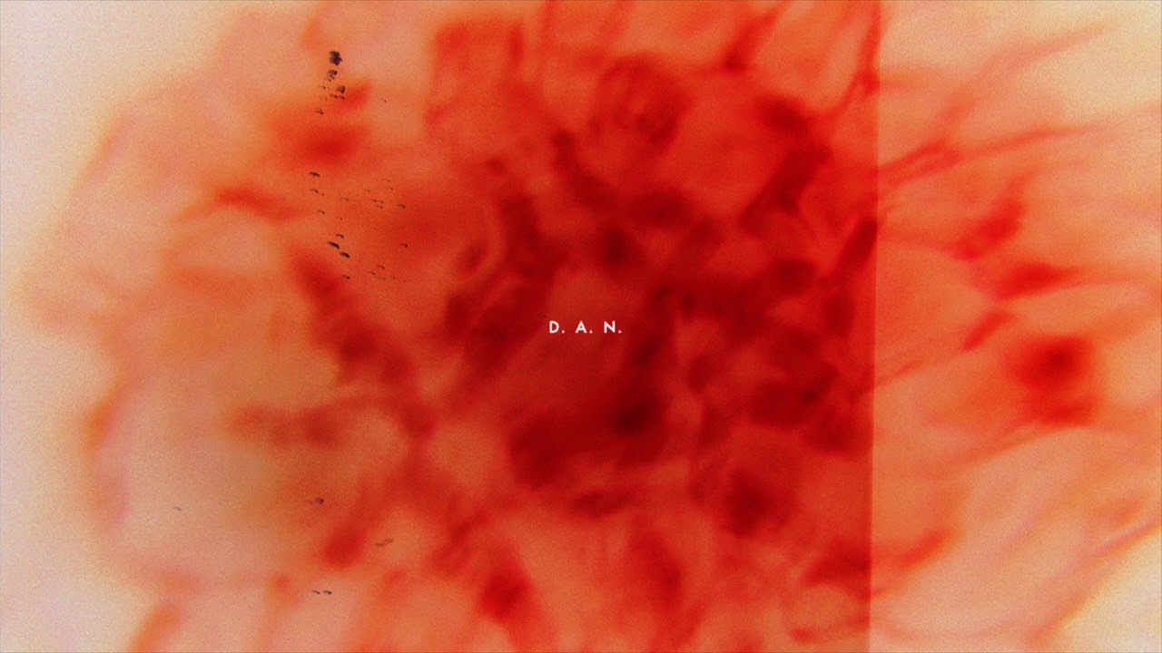 D.A.N. - Sonatine (Official Audio)