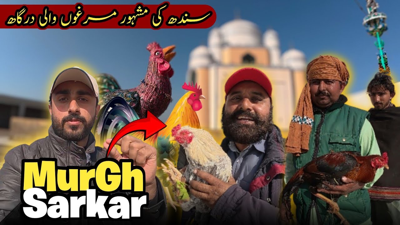 Saman Sarkar Shrine Badin – Sindh's Famous Rooster Offering Mazar | Pangrio | Abid Ali 110
