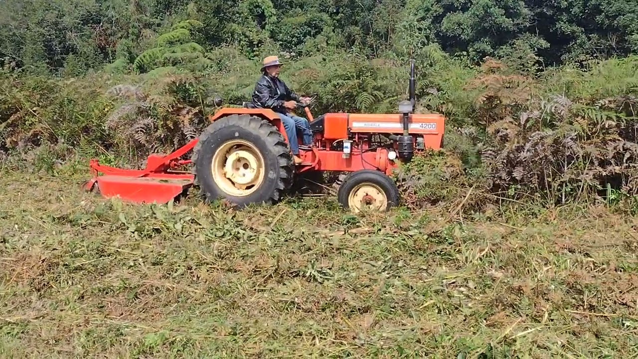 Agrale 4200 roçando pesado