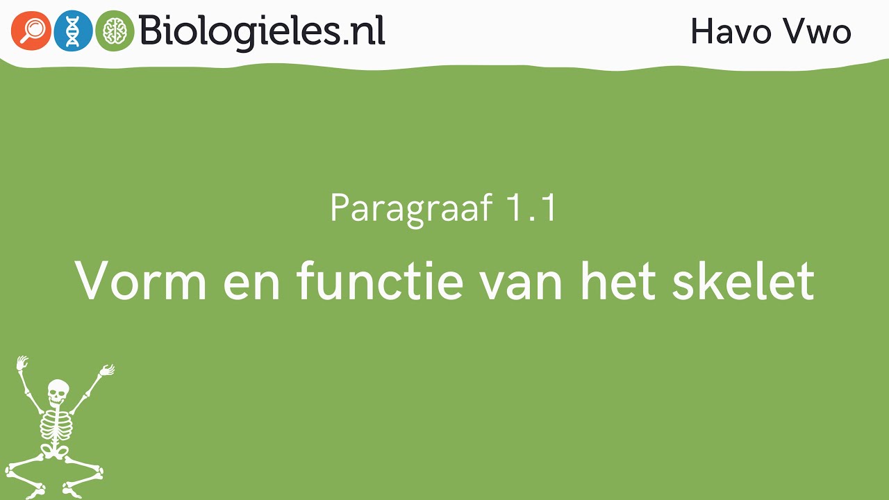 Havo Vwo 1 | Stevigheid en beweging | 1. Vorm en functie van het skelet | Biologieles.nl
