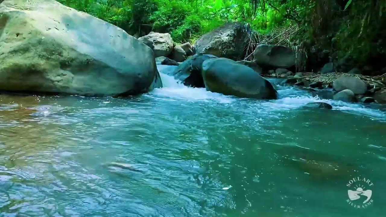 River Sounds for Sleeping. Soothing Forest Stream Ambience for Sleep and Meditation #river 4