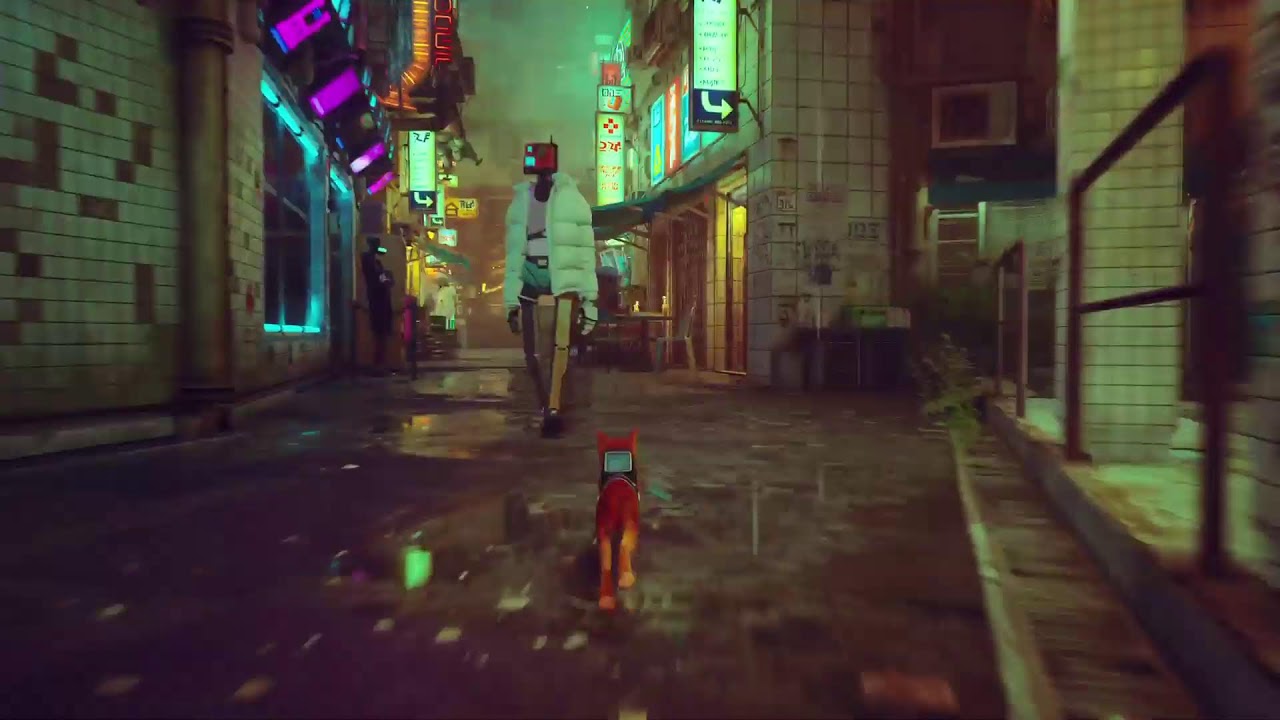 stray