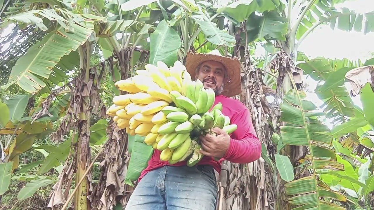 Banana maçã Isso que tenho que fazer depois do trabalho 