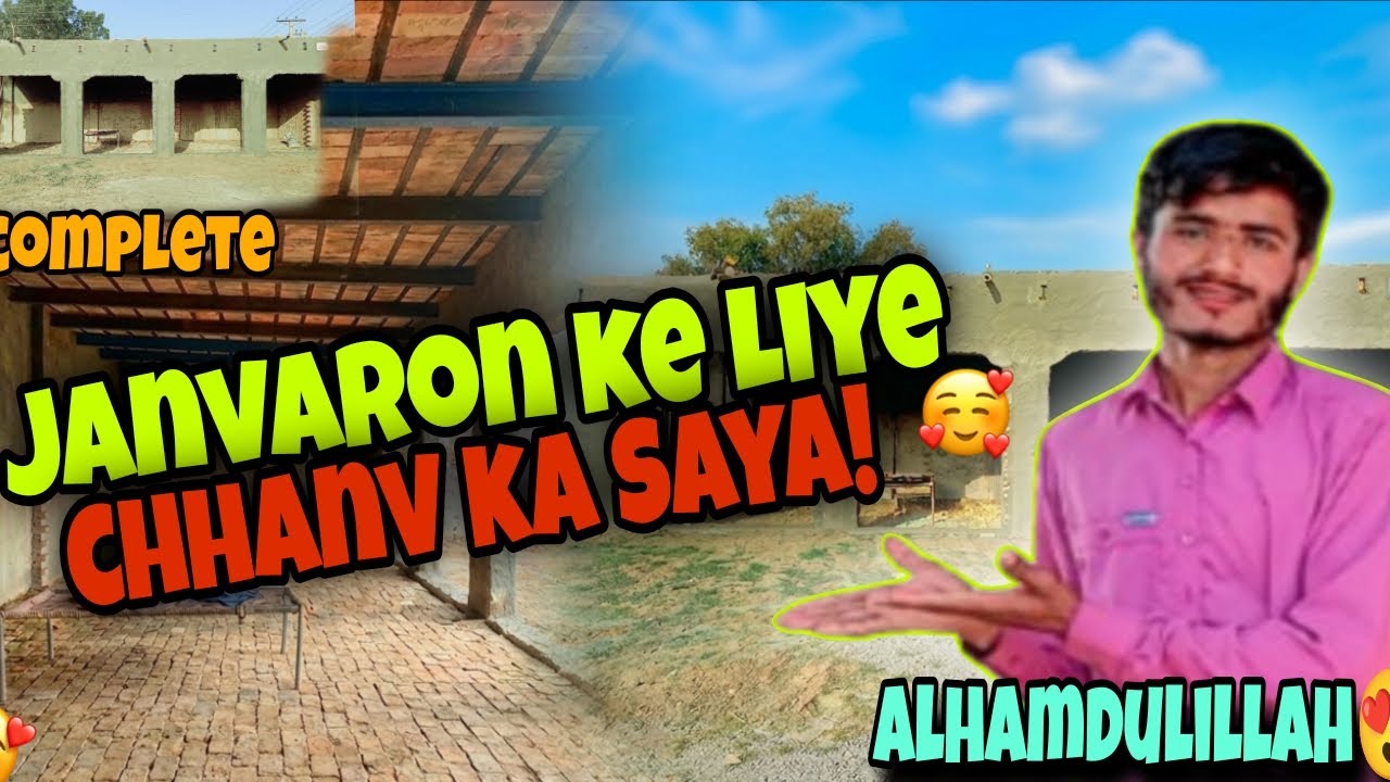Janvaron ke Liye | Chhanv Ka Saya 😍 | Sikandar Rafiq 