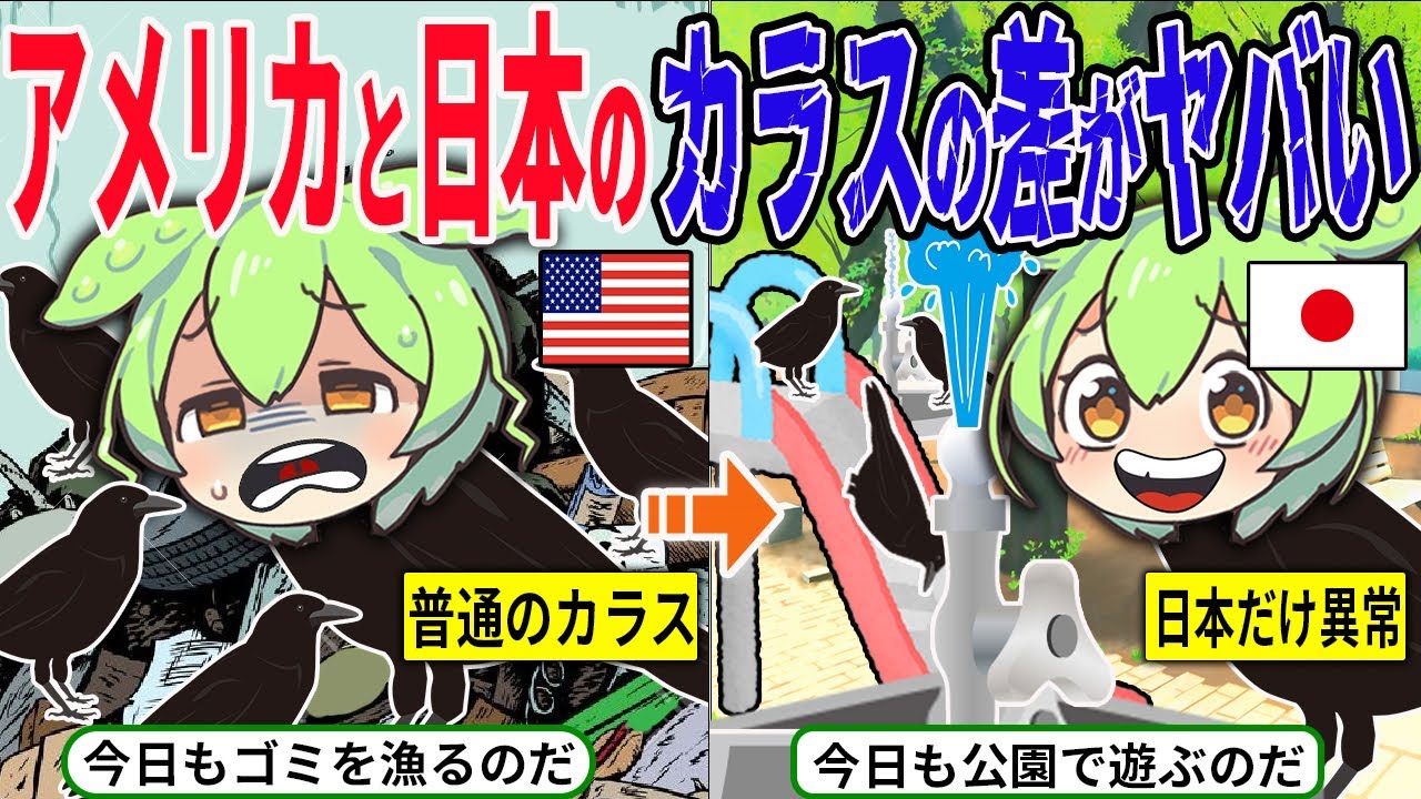 日本のカラスが賢すぎる！？日本のカラスと海外のカラスの頭脳差がレベチな件www【ずんだもん＆ゆっくり解説】