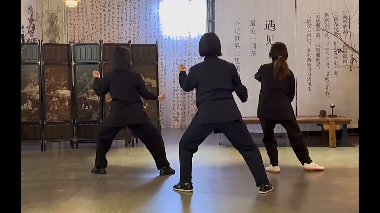 Chen-Style Tai Chi · Tiancai 13 Form Rear-View Demonstration，December 5, 2024