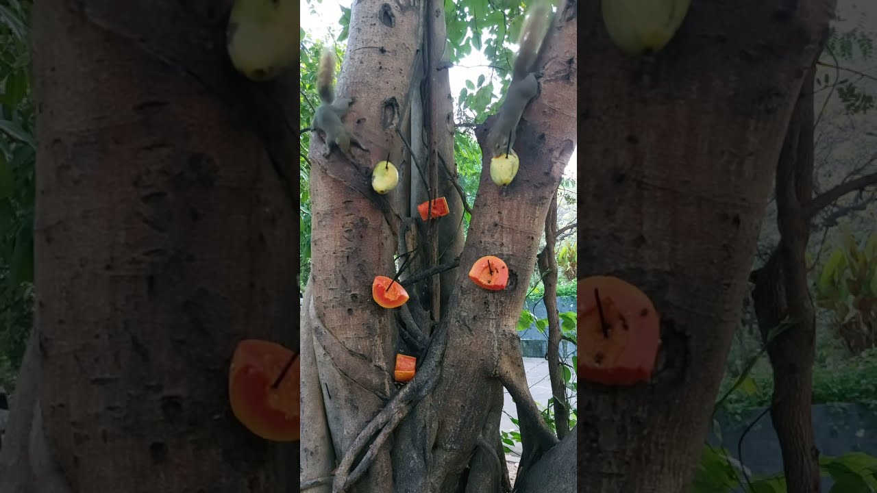 คำปอน นาน้อยchannel กำลังถ่ายทอดสด!สะบายดีตอนเช้าครับ24/2/69