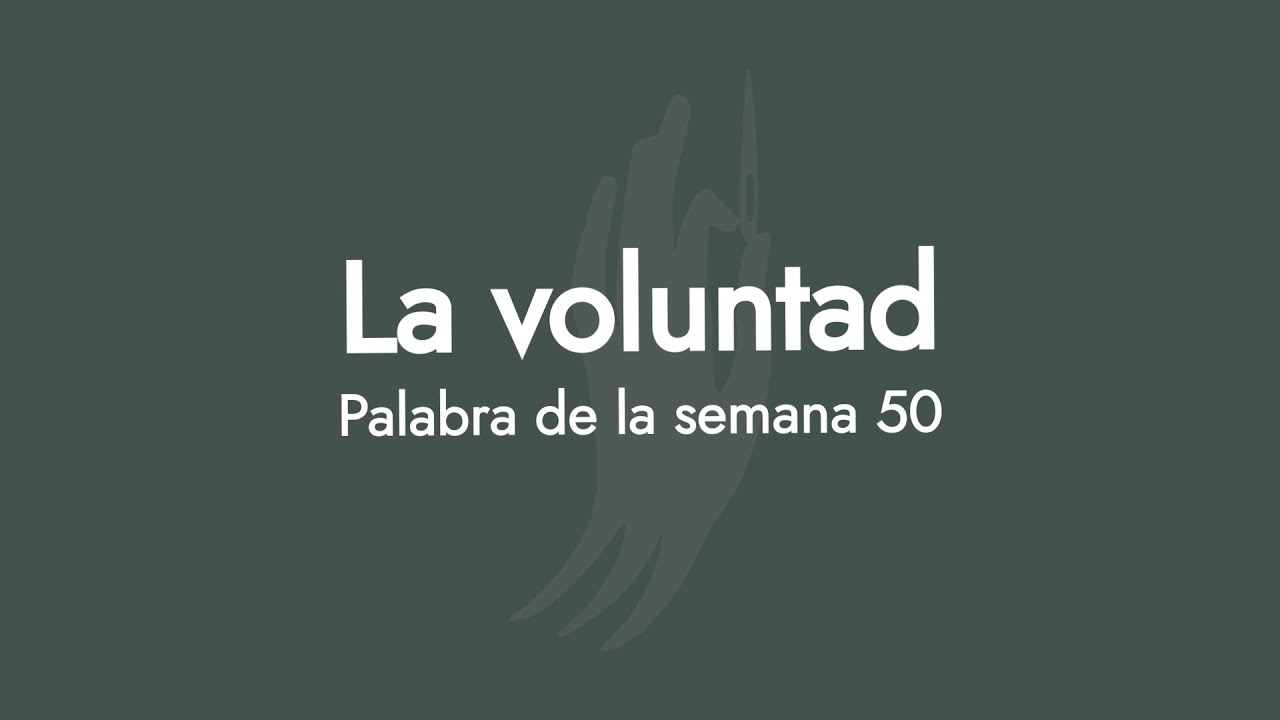 Respiración Bordada Semana 50 - 
