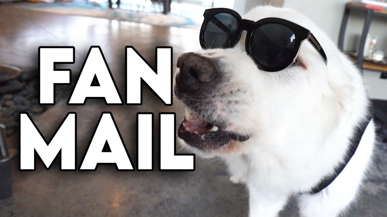 MASSIVE FAN MAIL OPENING - Super Cooper Sunday 321