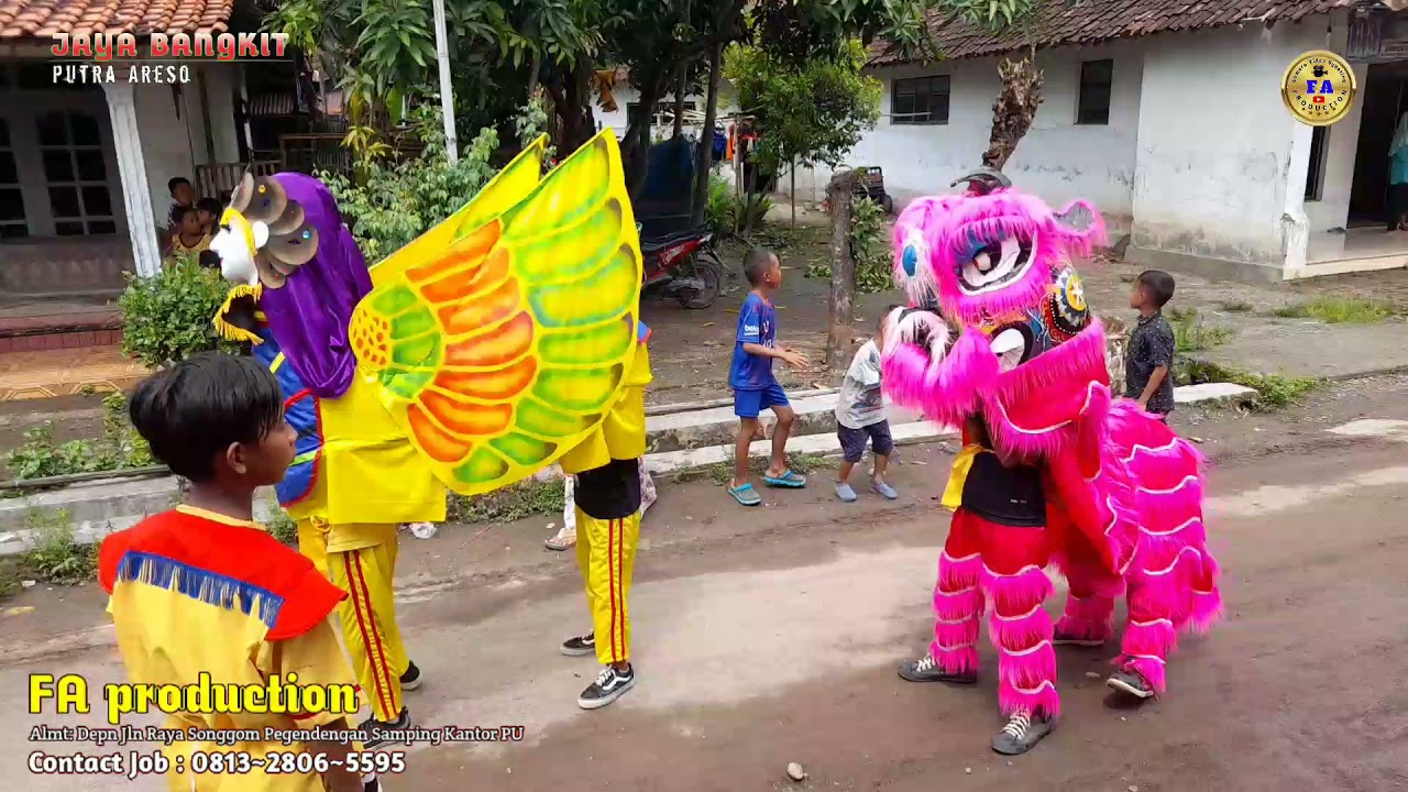 BANDAR GINCU ~ Muter-Muter Di Dukuh Payung Penontonya Rame Banget ~ Burok Cilik( JB putra areso )