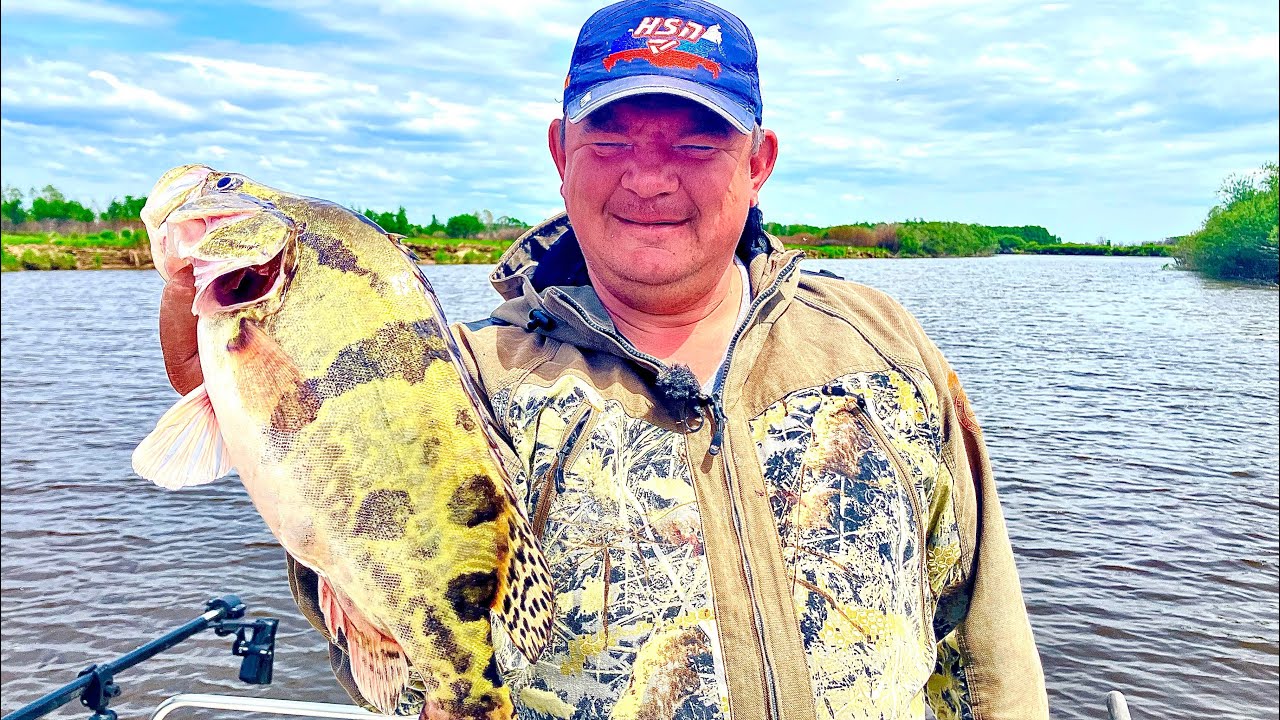 Рыбалка на Амуре 2025. Приехали в Хабаровск и взяли всех.